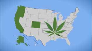 Thumbnail for What Will Recreational Marijuana Legalization Mean for California? Q&A with Lynne Lyman