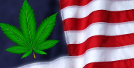 Thumbnail for Is Nationwide Marijuana Legalization Just Around the Corner?