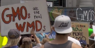 Thumbnail for 'March Against Monsanto' Anti-GMO Protest in Los Angeles