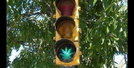 Thumbnail for Marijuana Legalization's Bright Future with Rob Kampia