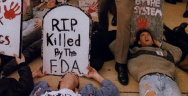 Thumbnail for FDA vs. Modern Medicine: Q&A w/ Peter Huber