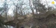 Thumbnail for Game Warden Fires Perfect Shot To Separate Two Deer With Locked Antlers