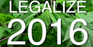 Thumbnail for How California Will Legalize Pot in 2016: Learning The Lessons of Prop 19