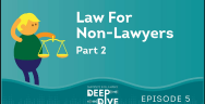 Thumbnail for Law for Non-Lawyers – Due Process and Equal Protection