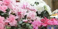 Thumbnail for Louisiana, Only State to Require Florist License - CBS Covers IJ's Challenge to That Law