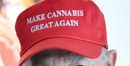Thumbnail for Donald Trump Has the Power to Release Nonviolent Marijuana Offenders from Prison. Will He Act?