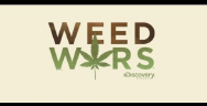 Thumbnail for Weed Wars: Medical Marijuana Hits Reality TV