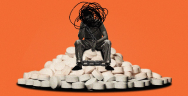 Thumbnail for What Drug Warriors Got Wrong About the Opioid Epidemic