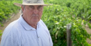 Thumbnail for Feds vs. Raisins: Small Farmers Stand Up to the USDA