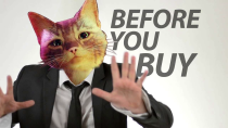Thumbnail for Stray - Before You Buy