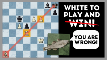 Thumbnail for Stockfish Has Ruined Chess | Chess Vibes
