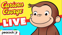 Thumbnail for 🔴 CURIOUS GEORGE 24/7 MARATHON! 🐵 Livestream for Kids ✨ Cartoons for Children 🐵 | Peacock jr