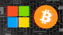 Thumbnail for Microsoft Is Using Bitcoin to Help Build a Decentralized Internet