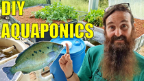Thumbnail for Starting an Aquaponics System | How to Start & What You Need | Rob Bob's Aquaponics & Backyard Farm
