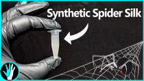 Thumbnail for I Grew Real Spider Silk Using Yeast | The Thought Emporium