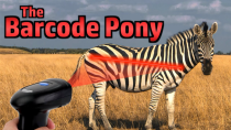 Thumbnail for The Barcode Pony, or: How To Actually Scan A Zebra | Atomic Shrimp