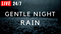 Thumbnail for 🔴 Gentle Night Rain - BLACK SCREEN to Sleep FAST, Rain Sounds for Sleeping & Beat Insomnia | The Relaxed Guy