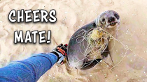 Thumbnail for Greatest Seal Rescuers in the World! Ozzy Man Reviews | Ozzy Man Reviews