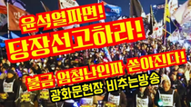Thumbnail for 윤수괴파면 당장선고하라!불금 엄청난인파 쏟아진다!광화문현장 비추는방송 | 황기자