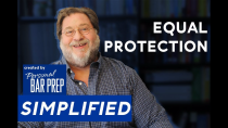 Thumbnail for Equal Protection — SIMPLIFIED | Personal Bar Prep