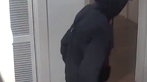 Thumbnail for Niggers with machetes invade a house in Sydney at 3 am. Guard cat doesn't do anything. 