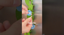 Thumbnail for 3d Printable Kitchen Hacks | ForgeCore