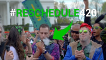 Thumbnail for Protesters Smoke Weed Outside of the White House