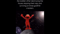 Thumbnail for My toddler after destroying the house, skipping their nap, and surviving on three goldfish crackers. | FunnyMemeSpot Backup