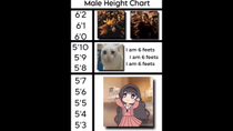 Thumbnail for Male Height Chart | FunnyMemeSpot Backup