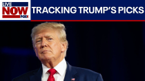 Thumbnail for LIVE:  Tracking Trump's cabinet picks, Biden in Peru,  Middle East latest & more | LiveNOW from FOX