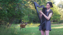 Thumbnail for A deer turned my harp session into a Disney movie | Naomi SV
