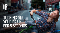 Thumbnail for What If Your Brain Stopped Working for 5 Seconds? | What If