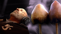 Thumbnail for Denver Just Decriminalized Magic Mushrooms. Activists Say This is Just the Beginning.
