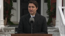 Thumbnail for Globalist Faggot Trudeau Announces Resignation 