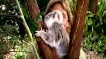 Thumbnail for Steve Irwin Customs 'Quarantine' TV ad (2002 Australia)