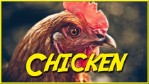 Thumbnail for Never kick the chicken! | Viva La Dirt League