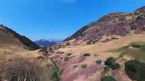 Thumbnail for Cow gets a nice helicopter ride after being stuck on a steep slope in Spain