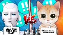 Thumbnail for Can Stockfish 15.1 (4K Elo) Defeat Mittens (5000 Elo) !! Mittens Vs Stockfish | Mittens Chess | Stockfish