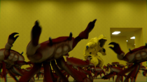 Thumbnail for Crab Rave - Backrooms Edition | Madkeanu