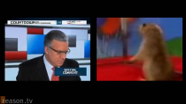 Thumbnail for Dramatic Olbermann vs. Dramatic Chipmunk