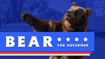 Thumbnail for Vote Bear