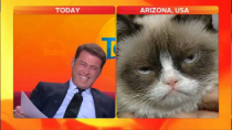 Thumbnail for Anchor loses it in Grumpy Cat interview | Mr.TodayVideos