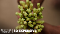 Thumbnail for Why Cloves Are So Expensive | So Expensive | Insider Business