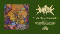 Thumbnail for SLIMELORD - Tidal Slaughtermarsh (From 'Chytridiomycosis Relinquished' LP, 2024) | 20buckspinlabel