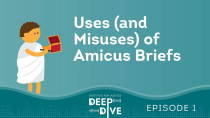 Thumbnail for Uses (and Misuses) of Amicus Briefs