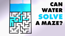 Thumbnail for Can water solve a maze? | Steve Mould