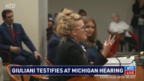 Thumbnail for MI Hearing Democrat Asks 'Why More Witnesses Don't Come Forward', Didn't Expect The Response