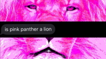 Thumbnail for Is pink panther a lion | Jeaney Collects