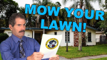 Thumbnail for Stossel: Mow Your Lawn or Lose Your House!