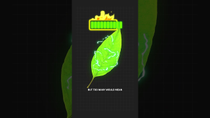 Thumbnail for Why Are Leaves Green? | Cleo Abram